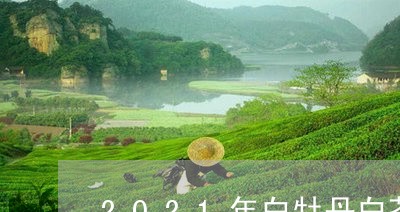 2021年白牡丹白茶滋味/2023033074069