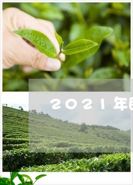 2021年的白毫银针价格/2023033030793