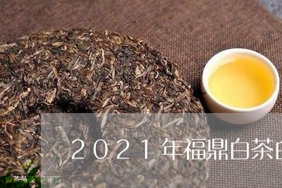 2021年福鼎白茶白牡丹/2023033061626