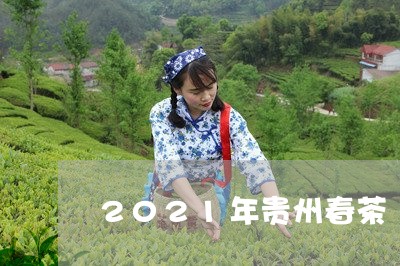 2021年贵州春茶/2023041690593