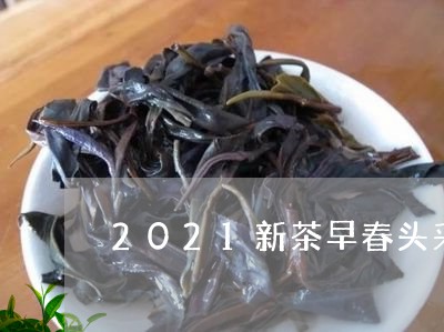 2021新茶早春头采白茶/2023033084036