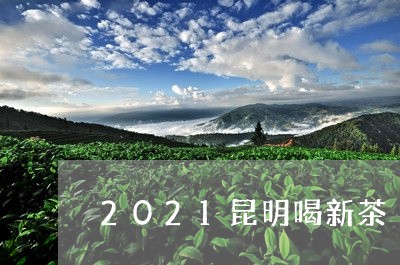 2021昆明喝新茶/2023041452714