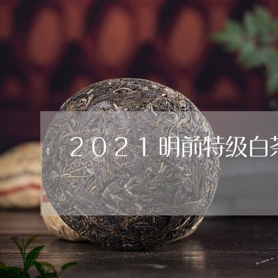 2021明前特级白茶网评/2023033054838