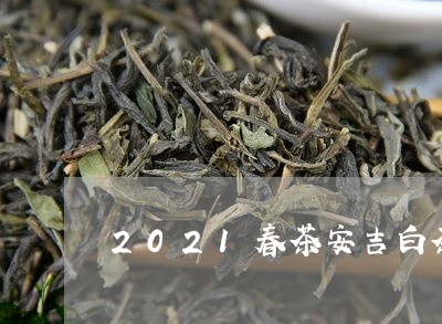 2021春茶安吉白茶价格/2023033096160