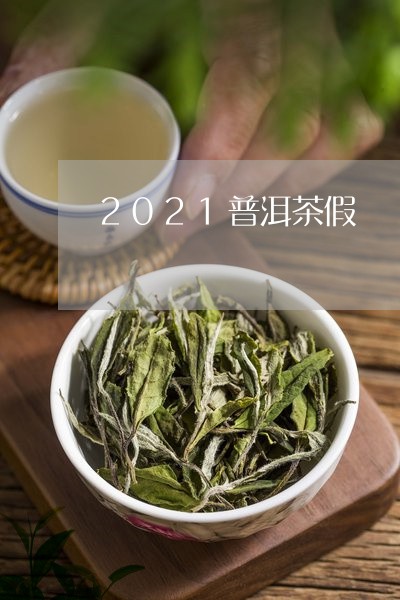 2021普洱茶假/2023041017372