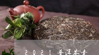 2021普洱茶贵/2023033001716