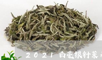 2021白毫银针茉莉花茶/2023033018484