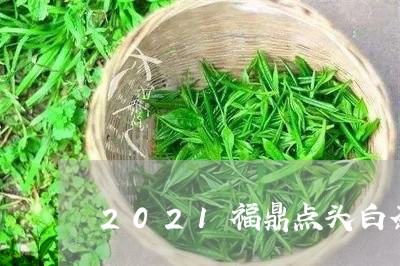 2021福鼎点头白茶状元/2023033052938