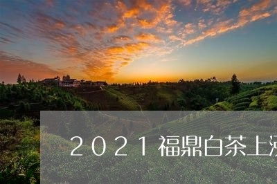 2021福鼎白茶上涨幅度/2023033082814