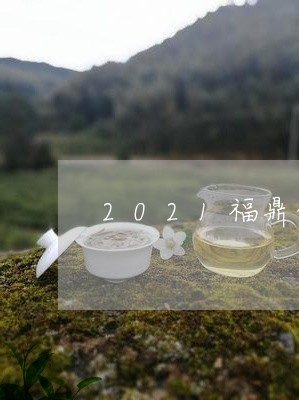 2021福鼎白茶产量分布/2023033085151