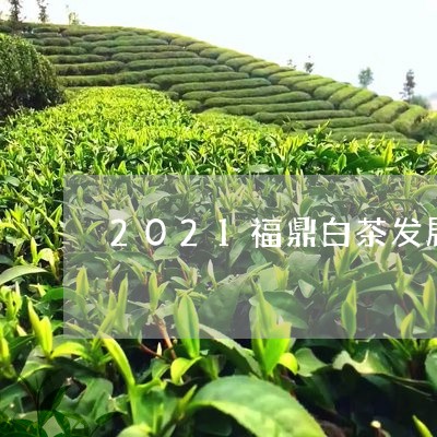 2021福鼎白茶发展方向/2023033050273