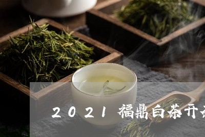 2021福鼎白茶开茶仪式/2023033033916