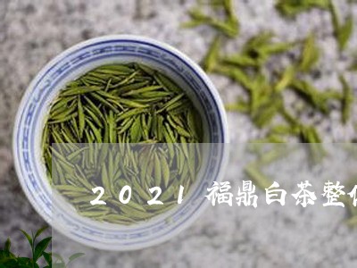 2021福鼎白茶整体市场/2023033040573