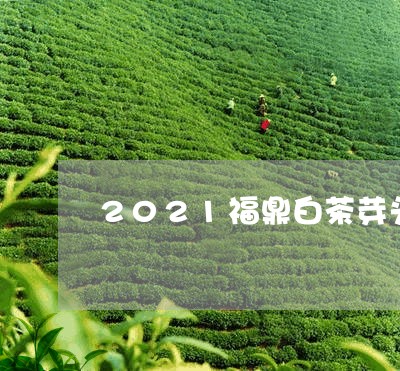 2021福鼎白茶芽头价格/2023033020796