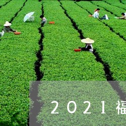 2021福鼎白茶茶毫价格/2023033029583