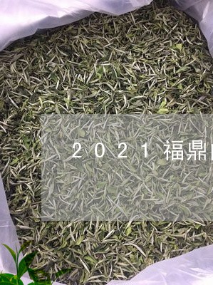 2021福鼎白茶采摘时间/2023033013047