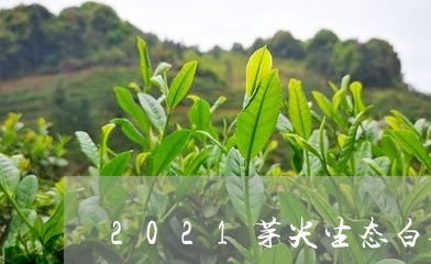 2021芽尖生态白茶功效/2023033036058