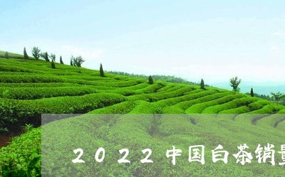 2022中国白茶销量如何/2023033099381