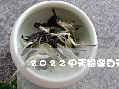 2022中茶福鼎白茶发售/2023033024937