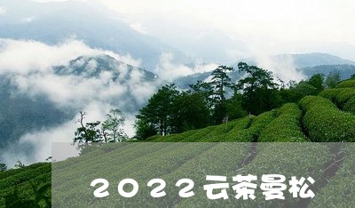 2022云茶曼松/2023032262938