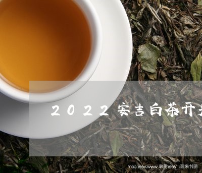 2022安吉白茶开采日期/2023033083705