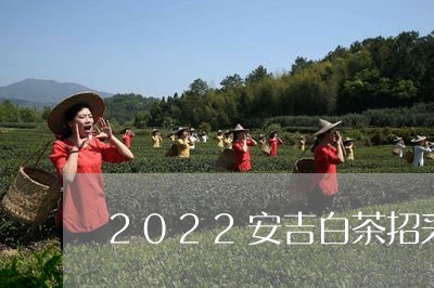 2022安吉白茶招采茶工/2023033005847