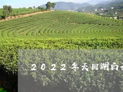 2022年天目湖白茶价格/2023033093935