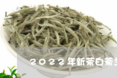 2022年新茶白茶兰花型/2023033092725