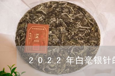 2022年白毫银针的口感/2023033060603