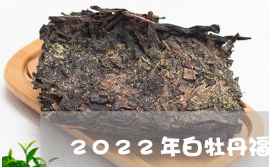 2022年白牡丹福鼎白茶/2023033067391