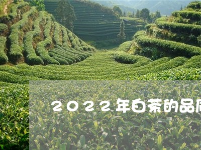 2022年白茶的品质咋样/2023033093624