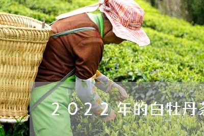 2022年的白牡丹茶好吗/2023033028404