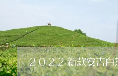 2022新款安吉白茶包装/2023033024948