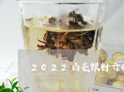 2022白毫银针开始生产/2023033085949