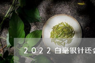 2022白毫银针还会上涨/2023033082735