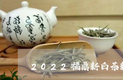 2022福鼎新白茶新政策/2023033074258