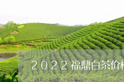 2022福鼎白茶价格涨了/2023033047460