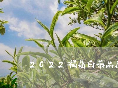 2022福鼎白茶品质特点/2023033082694