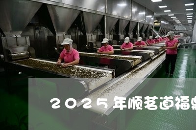 2025年顺茗道福鼎白茶/2023033074715