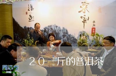 20一斤的普洱茶/2023033135139