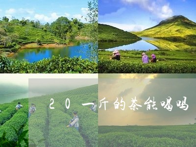 20一斤的茶能喝吗/2023031830836