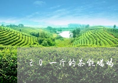 20一斤的茶能喝吗/2023041462027