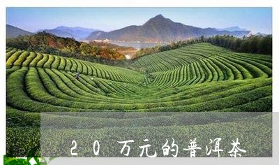 20万元的普洱茶/2023033147361