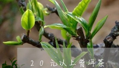 20元以上普洱茶/2023040948282