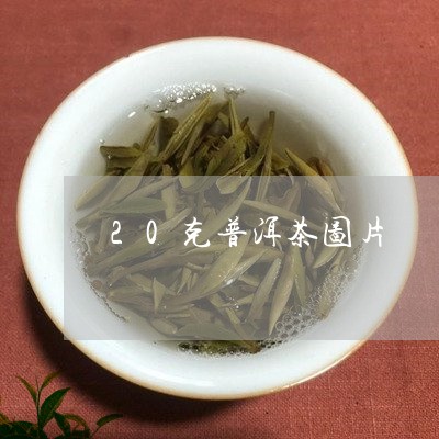 20克普洱茶图片/2023031615048