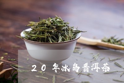 20年冰岛普洱茶/2023041308361