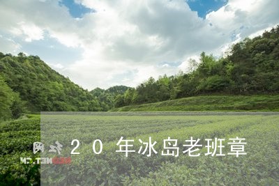 20年冰岛老班章/2023032945361