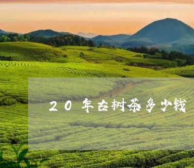 20年古树茶多少钱/2023032247252