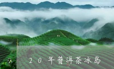 20年普洱茶冰岛/2023041340593