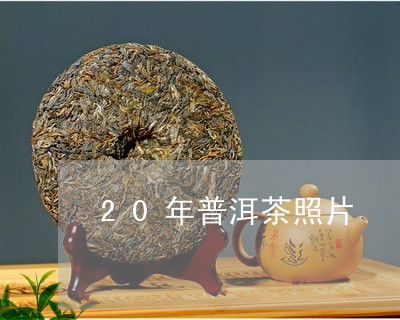 20年普洱茶照片/2023041053816